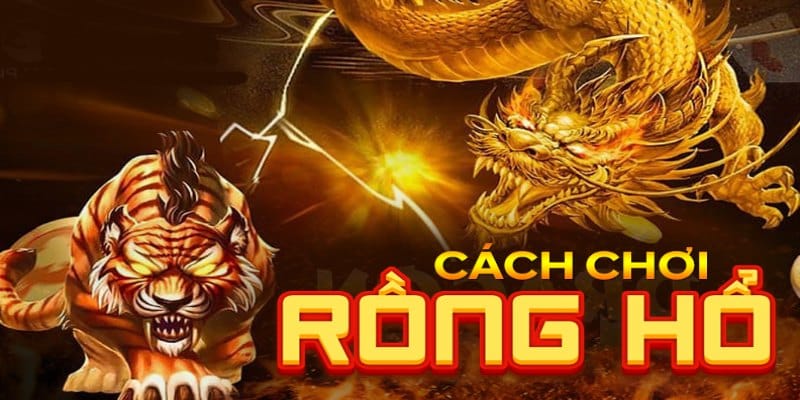 Kinh nghiệm chơi game rồng hổ mu88